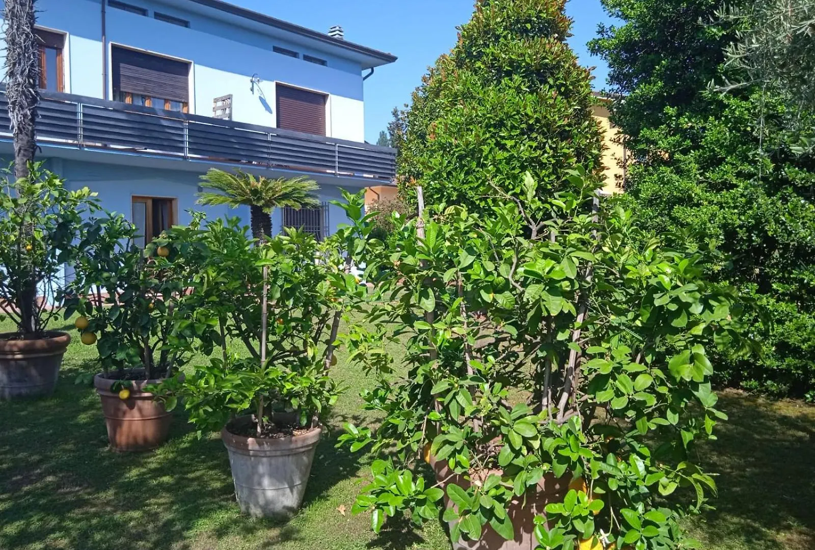 Villa Celeste Lucques Italie